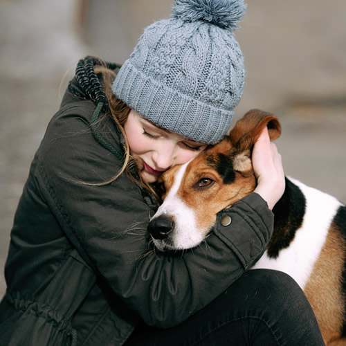 Dog Photography