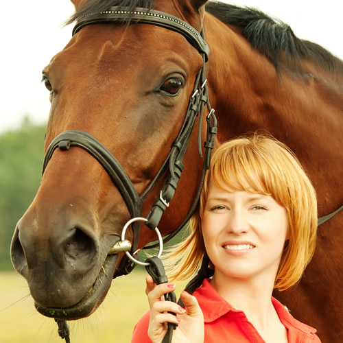horse Photography